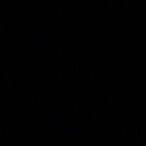 Meet your Posher, Rickiah